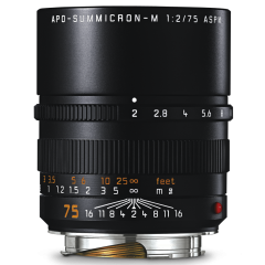 11637| LEICA APO-Summicron-M 75mm f/2 ASPH Black Anodized Lens | Buy Online