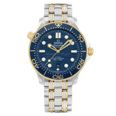 Omega Diver 300M Co‑Axial Master Chronometer 42mm 210.20.42.20.03.001