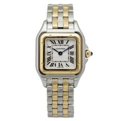 Cartier Panthere De Cartier Steel Yellow Gold Small 22 x 30 mm W2PN0006