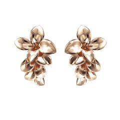 Pasquale Bruni Stelle in Fiore Rose Gold Earrings 15801R