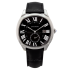 WSNM0009 | Drive Automatic 41 mm watch | Buy Online