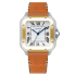 Cartier Santos De Cartier Steel Yellow Gold Medium Model W2SA0016