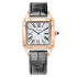 WGSA0032 | Cartier Santos-Dumont XL 46.6 x 33.9 mm watch | Buy Now