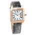 Cartier Santos-Dumont XL 46.6 x 33.9 mm WGSA0032