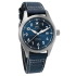 IWC Pilot's Watch Mark XX 40mm IW328203