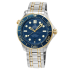 Omega Diver 300M Co‑Axial Master Chronometer 42mm 210.20.42.20.03.001