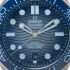 Omega Seamaster Diver 300M Co‑Axial Master Chronometer 42 mm 210.32.42.20.03.002