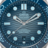 Omega Seamaster Diver 300M Co‑Axial Master Chronometer 42 mm 210.32.42.20.03.002