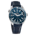 Omega Seamaster Planet Ocean 600M Co-Axial Master Chronometer 39.5 mm 215.33.40.20.03.001