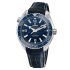 Omega Seamaster Planet Ocean 600M Co-Axial Master Chronometer 43.5 mm 215.33.44.21.03.001