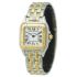 Cartier Panthere De Cartier Steel Yellow Gold Small 22 x 30 mm W2PN0006