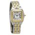 Cartier Panthere De Cartier Steel Yellow Gold Small 22 x 30 mm W2PN0006