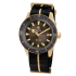 Rado Captain Cook Automatic Bronze 42 mm R32504307