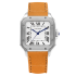 Cartier Santos De Cartier 35.1 mm WSSA0010