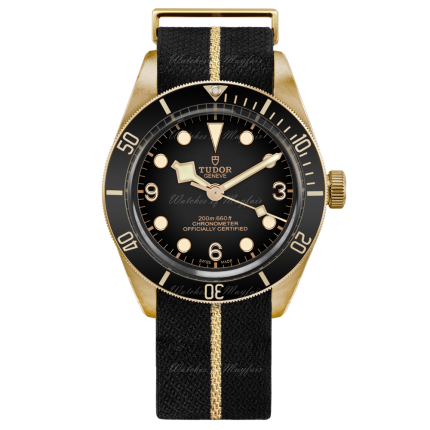 M79250BA-0002 | Tudor Black Bay Bronze 43mm watch. Buy Online
