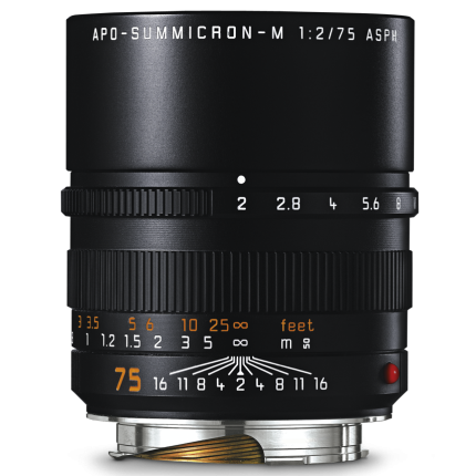 11637| LEICA APO-Summicron-M 75mm f/2 ASPH Black Anodized Lens | Buy Online