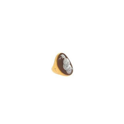 PAA6031_O7000_000CS  | Buy Pomellato Eva Rose Gold Snake Cameo Ring