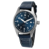 IWC Pilot's Watch Mark XX 40mm IW328203