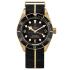 M79250BA-0002 | Tudor Black Bay Bronze 43mm watch. Buy Online